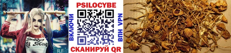 Галлюциногенные грибы прущие грибы  Венёв 